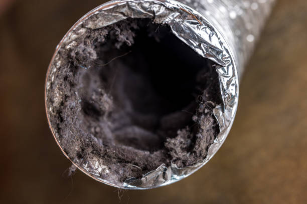 Best HVAC System Cleaning  in Jesup, IA