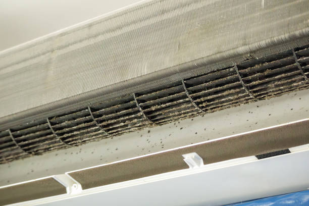 Best Ventilation Cleaning Services  in Jesup, IA